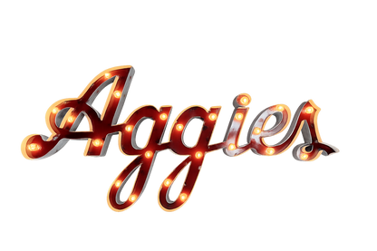 Texas A&M Aggies Lighted Recycled Metal Wall Decor