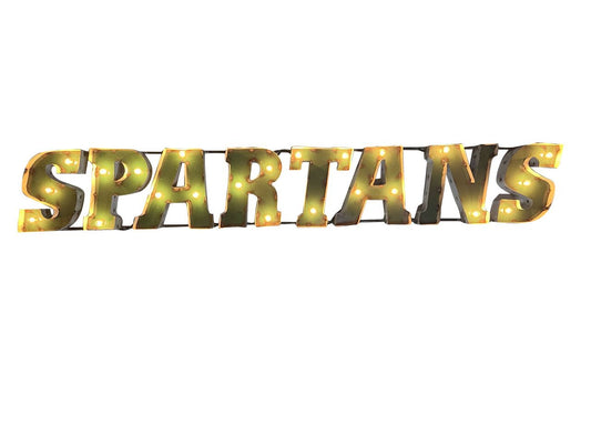 Michigan State wall art