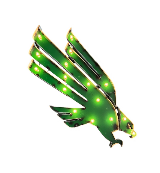 University of North Texas "EAGLES" Illuminated Recycled metal wall decor