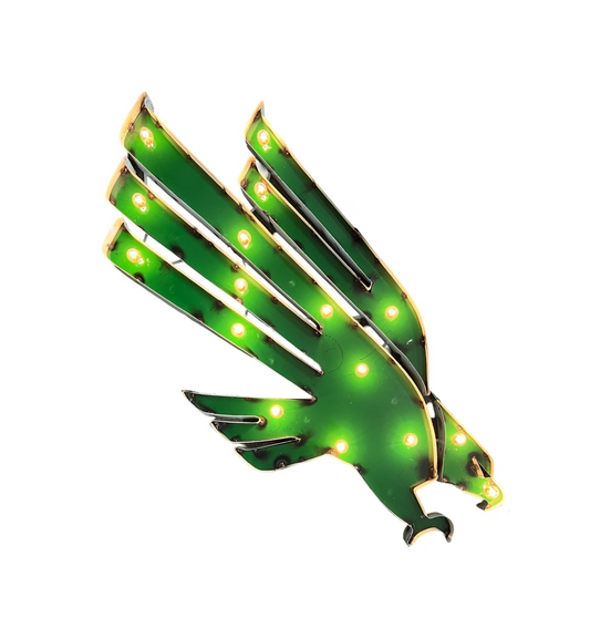 North Texas Eagles wall art